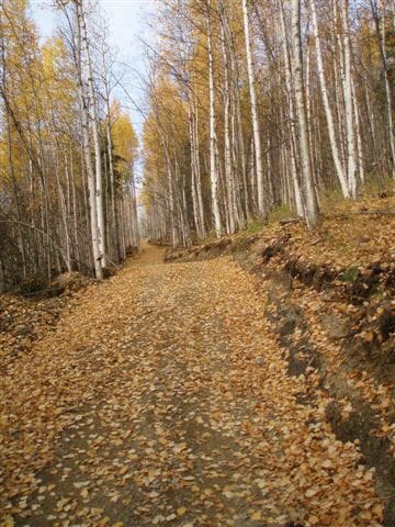 Design and layout  by Mike Shields.